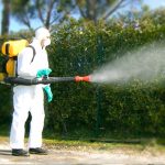 Disinfestazione roma